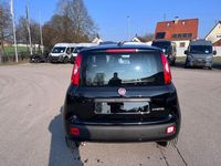 Neu Fiat Panda 65 PS (47 kW) 2026 Schwarz Kleinwagen