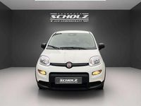 Gebraucht Fiat Panda 69 PS (50 kW) 2024 Weiß Kleinwagen