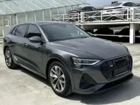 Gebraucht Audi e-tron S-Line 230 kW (313 PS) 2022 Daytonagrau perleffekt SUV