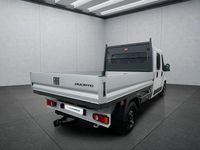 Neu Fiat Ducato 140 PS (102 kW) 2025 Weiß Van