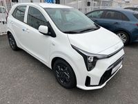 Neu Kia Picanto Vision 79 PS (58 kW) 2025 Weiß Kleinwagen