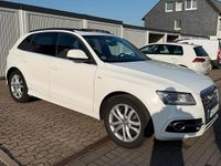 Gebraucht Audi SQ5 S-Line 313 PS (230 kW) 2013 Weiß SUV