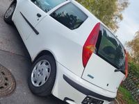 gebraucht Fiat Punto 1.2 8V Dynamic