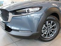 Gebraucht Mazda CX-30 Selection 122 PS (89 kW) 2019 Polymetalgrau (metallic) SUV