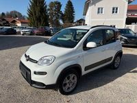 Gebraucht Fiat Panda 4x4 86 PS (63 kW) 2015 Weiß Kleinwagen