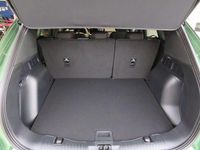 Neu Ford Kuga ST-Line 186 PS (136 kW) 2025 Bursting green SUV