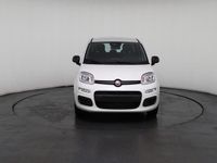Neu Fiat Panda 69 PS (50 kW) 2025 Weiß, weiß uni Kleinwagen