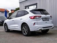 Gebraucht Ford Kuga ST-Line 224 PS (164 kW) 2023 Weiß SUV