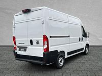 Neu Fiat Ducato 140 PS (102 kW) 2026 Ducato weiss Van