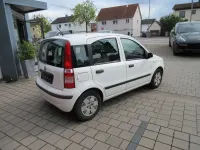 Usata Fiat Panda Dynamic 60 CV (44 kW) 2009 Bianco Utilitaria