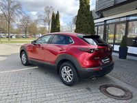 Gebraucht Mazda CX-30 150 PS (110 kW) 2024 Soul red crystal m (metallic) SUV