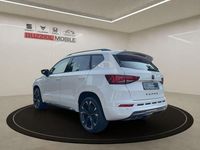 Gebraucht Cupra Ateca 150 PS (110 kW) 2024 Andere SUV
