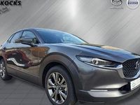 Gebraucht Mazda CX-30 Selection 186 PS (136 kW) 2023 Grau SUV