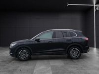 Gebraucht VW Tiguan Elegance 150 PS (110 kW) 2024 Deep black perleffekt SUV