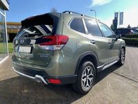 gebraucht Subaru Forester Active