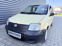 Gebraucht Fiat Panda Active 54 PS (39 kW) 2009 Beige Kleinwagen