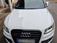 Gebraucht Audi SQ5 Sport 326 PS (239 kW) 2017 Weiß SUV