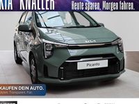 Neu Kia Picanto Vision 68 PS (50 kW) 2026 Grün Kleinwagen