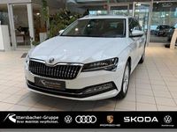 Gebraucht Skoda Superb Style 150 PS (110 kW) 2024 Moonweiss metallic Kombi