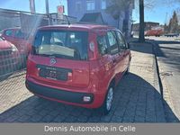 Gebraucht Fiat Panda Easy 69 PS (50 kW) 2016 Rot Kleinwagen