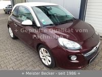 Bild 2