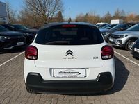 Gebraucht Citroën C3 PureTech 82 PS (60 kW) 2023 Weiß Kleinwagen