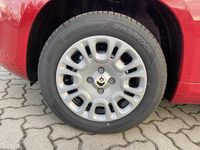 Neu Fiat Panda 69 PS (50 kW) 2025 Rot Kleinwagen