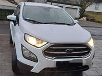 Gebraucht Ford Ecosport Trend 101 PS (74 kW) 2020 Weiß SUV