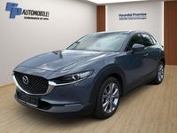 Gebraucht Mazda CX-30 Selection 122 PS (89 kW) 2020 Grau SUV
