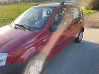 gebraucht Fiat Panda 1.0 TÜV neu