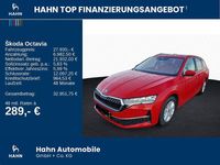 Gebraucht Skoda Octavia Selection 150 PS (110 kW) 2025 Rot Kombi