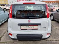 Gebraucht Fiat Panda 69 PS (50 kW) 2024 Weiss Kleinwagen