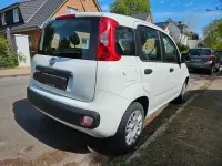 Occasion Fiat Panda Easy 69 ch (50 kW) 2017 Blanc Citadine