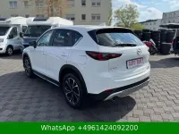 Gebraucht Mazda CX-5 Newground 269 PS (197 kW) 2024 Weiß SUV