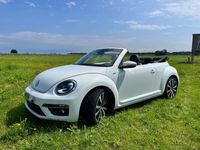 gebraucht VW Beetle Cabriolet R-Line DSG