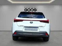 Gebraucht Lexus UX 250h 184 PS (135 kW) 2023 Weiß SUV