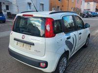 gebraucht Fiat Panda 1,3 Multijet