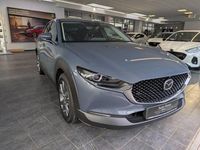 Gebraucht Mazda CX-30 Selection 186 PS (136 kW) 2021 Grau SUV