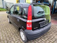 Usata Fiat Panda Active 54 CV (39 kW) 2009 Nero Utilitaria