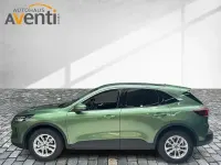 Neu Ford Kuga Titanium 151 PS (111 kW) 2025 Grün SUV