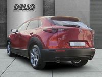 Gebraucht Mazda CX-30 Selection 150 PS (110 kW) 2021 Andere SUV