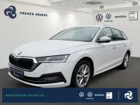 Gebraucht Skoda Octavia Style 116 PS (85 kW) 2023 Candyweiss Kombi
