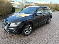 Gebraucht Audi SQ5 Sport 313 PS (230 kW) 2014 Schwarz SUV