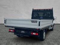 Neu Ford Transit Trend 131 PS (96 kW) 2025 Frozen white