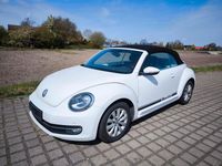 Gebraucht VW Beetle Design 150 PS (110 kW) 2015 Weiß Kleinwagen