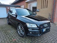 Gebraucht Audi SQ5 Competition 326 PS (239 kW) 2017 Schwarz SUV