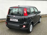 Gebraucht Fiat Panda 69 PS (50 kW) 2024 Schwarz Kleinwagen