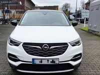 Gebraucht Opel Grandland X 131 PS (96 kW) 2019 Weiß SUV