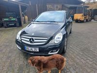 gebraucht Mercedes R320 Cdi