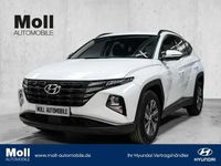 Gebraucht Hyundai Tucson Select 150 PS (110 kW) 2023 Atlas white / sol SUV